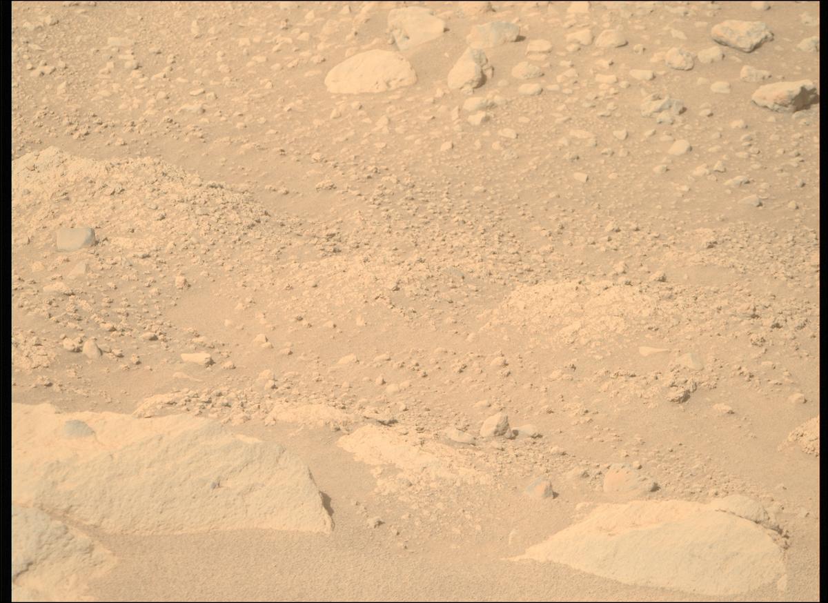 This image was taken by MCZ_RIGHT onboard NASA's Mars rover Perseverance on Sol 729