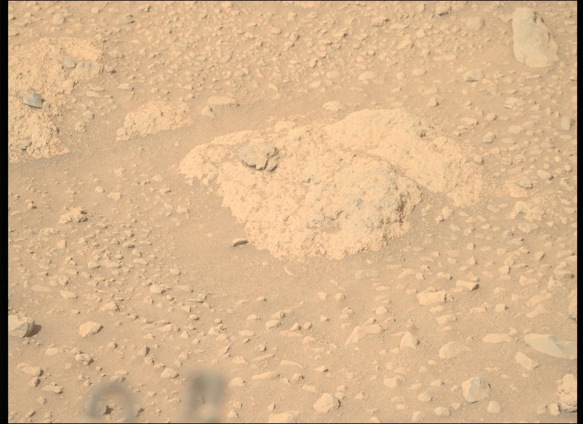This image was taken by MCZ_RIGHT onboard NASA's Mars rover Perseverance on Sol 729