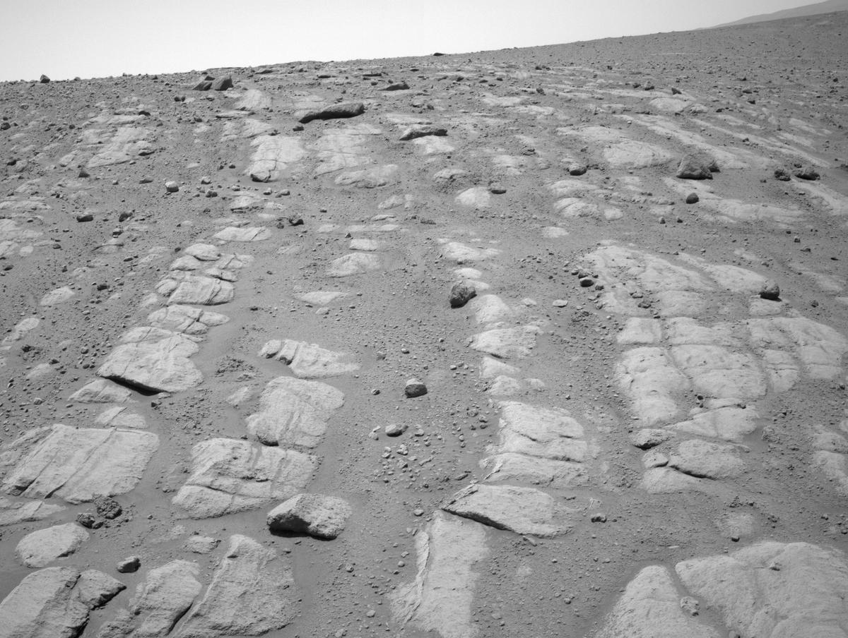 This image was taken by NAVCAM_LEFT onboard NASA's Mars rover Perseverance on Sol 730