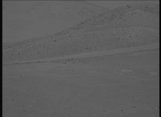View image taken on Mars, Mars Perseverance Sol 730: Left Mastcam-Z Camera
