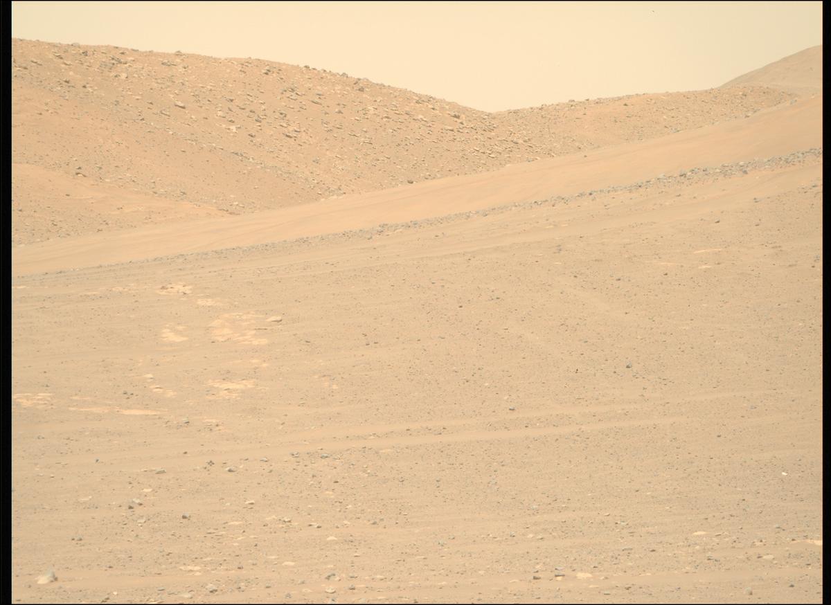 This image was taken by MCZ_RIGHT onboard NASA's Mars rover Perseverance on Sol 730