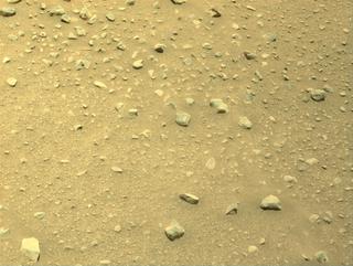 View image taken on Mars, Mars Perseverance Sol 731: Left Navigation Camera (Navcam)