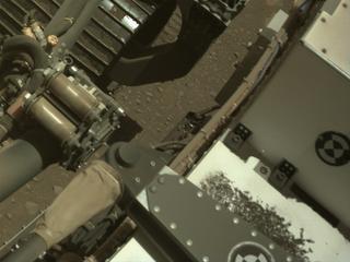 View image taken on Mars, Mars Perseverance Sol 731: Right Navigation Camera (Navcam)