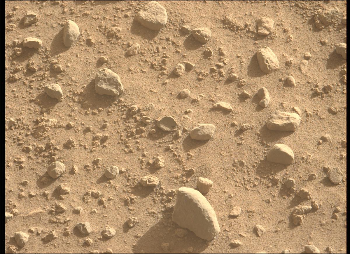 This image was taken by MCZ_LEFT onboard NASA's Mars rover Perseverance on Sol 731