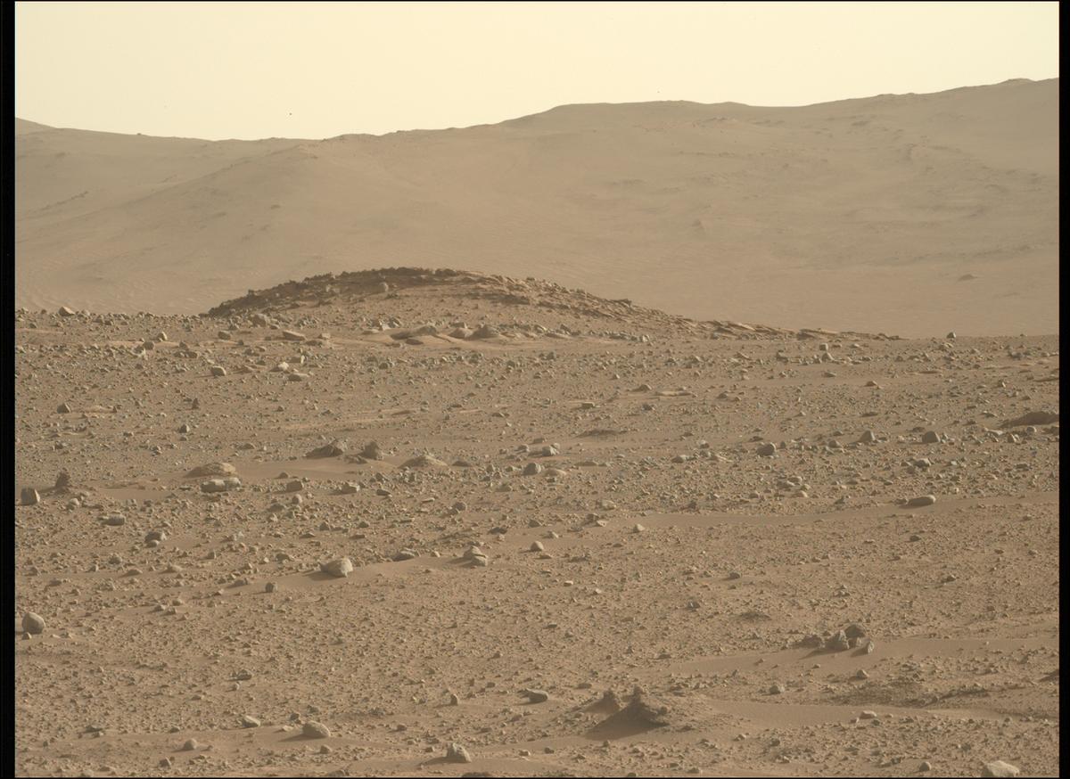 This image was taken by MCZ_LEFT onboard NASA's Mars rover Perseverance on Sol 731