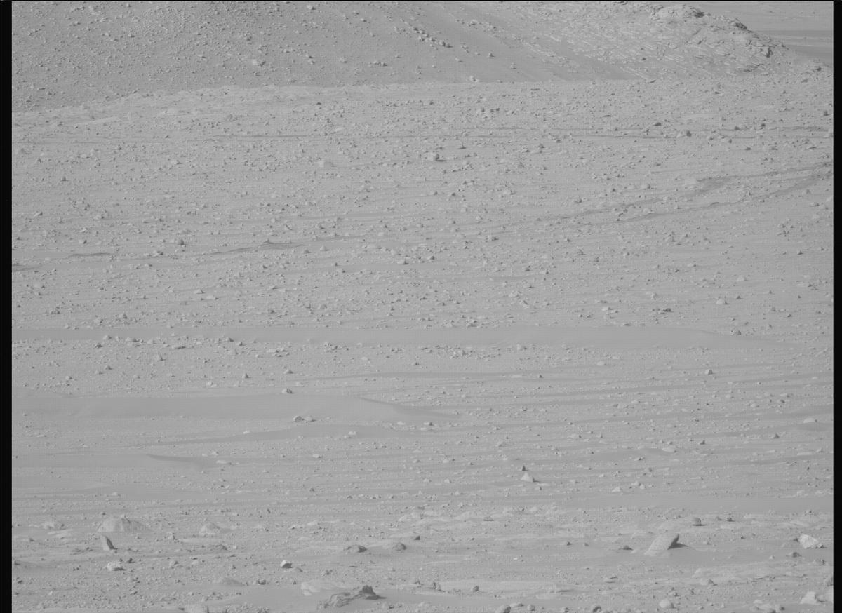 This image was taken by MCZ_LEFT onboard NASA's Mars rover Perseverance on Sol 731