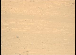 View image taken on Mars, Mars Perseverance Sol 731: Left Mastcam-Z Camera