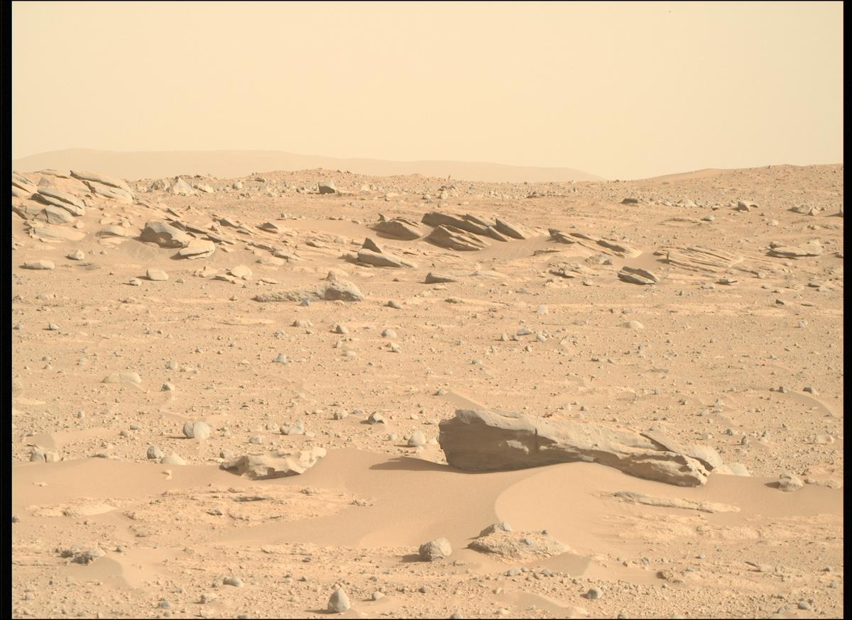 This image was taken by MCZ_RIGHT onboard NASA's Mars rover Perseverance on Sol 731