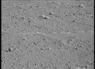 View image taken on Mars, Mars Perseverance Sol 731: Right Mastcam-Z Camera