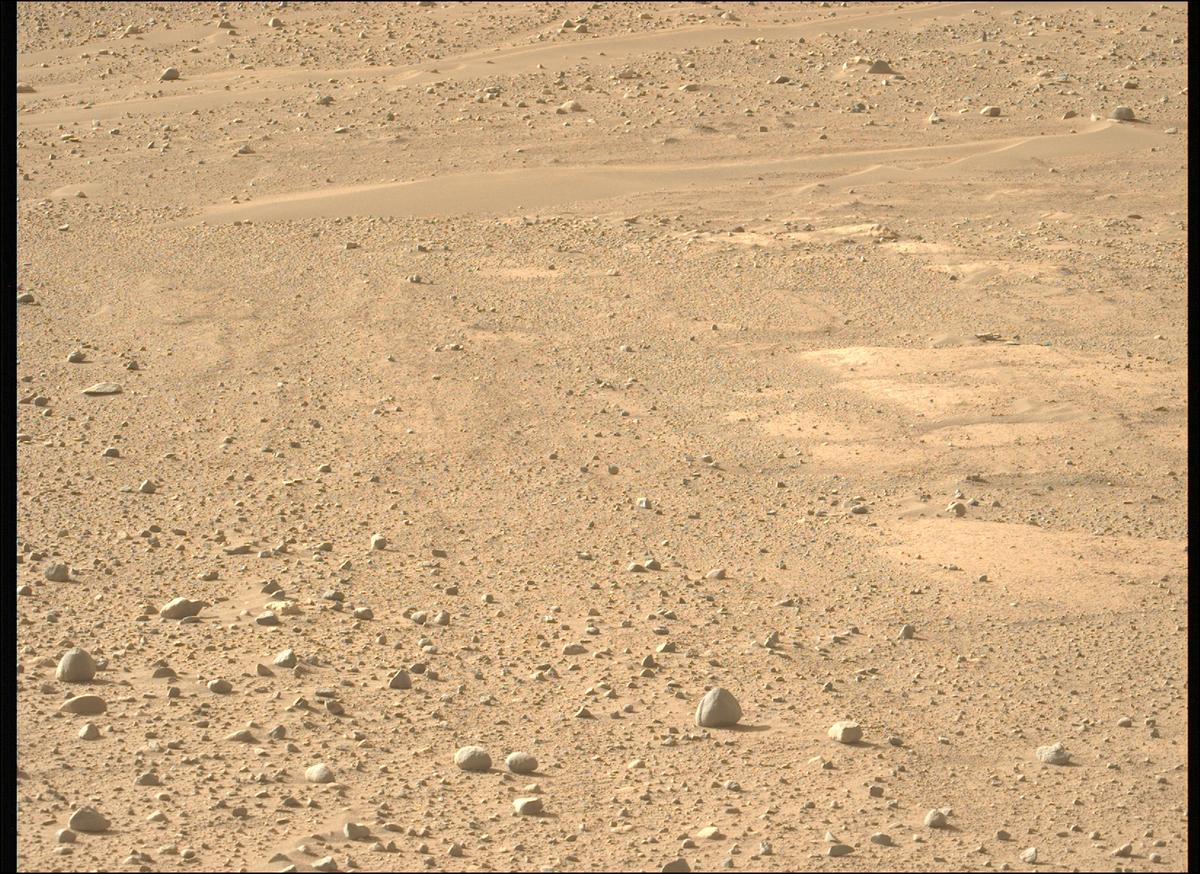 This image was taken by MCZ_LEFT onboard NASA's Mars rover Perseverance on Sol 732