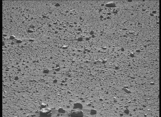 View image taken on Mars, Mars Perseverance Sol 732: Left Mastcam-Z Camera