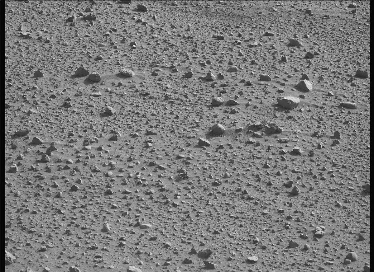 This image was taken by MCZ_LEFT onboard NASA's Mars rover Perseverance on Sol 732