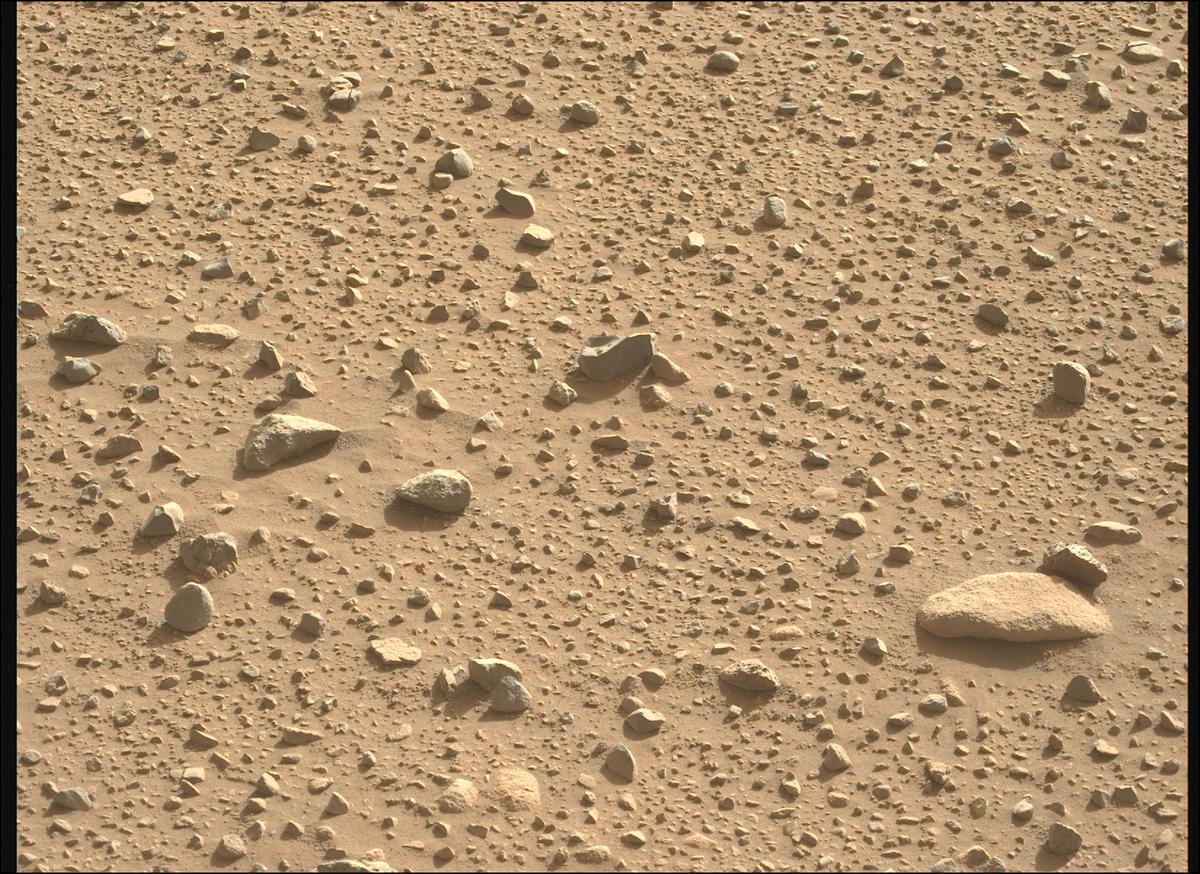 This image was taken by MCZ_LEFT onboard NASA's Mars rover Perseverance on Sol 732