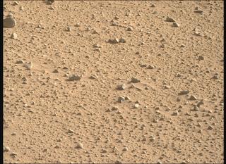 View image taken on Mars, Mars Perseverance Sol 732: Right Mastcam-Z Camera
