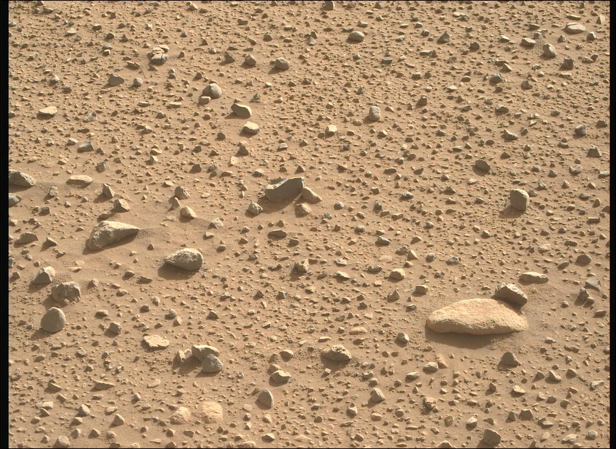 This image was taken by MCZ_RIGHT onboard NASA's Mars rover Perseverance on Sol 732