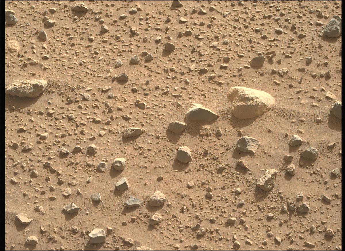 This image was taken by MCZ_RIGHT onboard NASA's Mars rover Perseverance on Sol 732