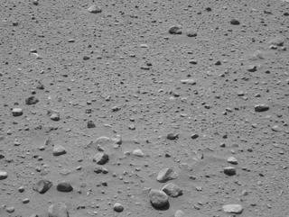 View image taken on Mars, Mars Perseverance Sol 733: Left Navigation Camera (Navcam)