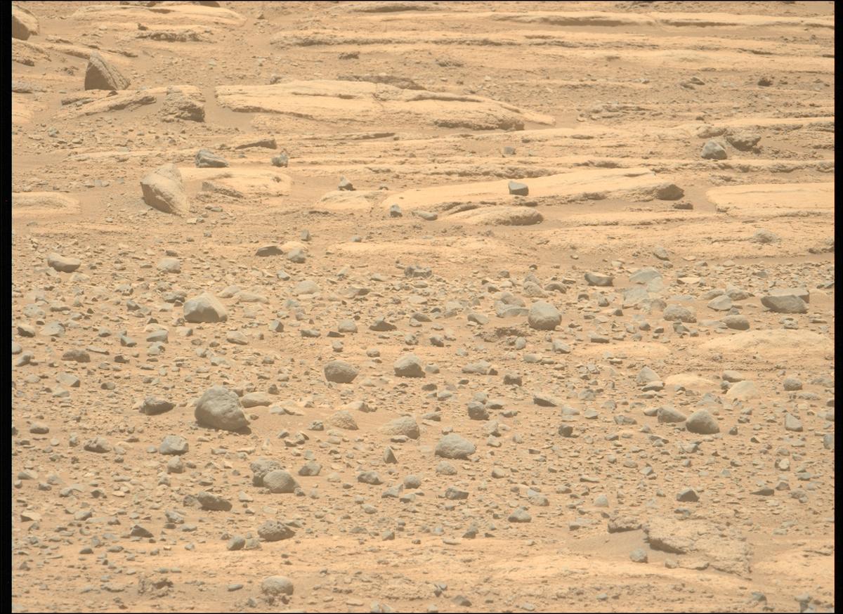 This image was taken by MCZ_LEFT onboard NASA's Mars rover Perseverance on Sol 733