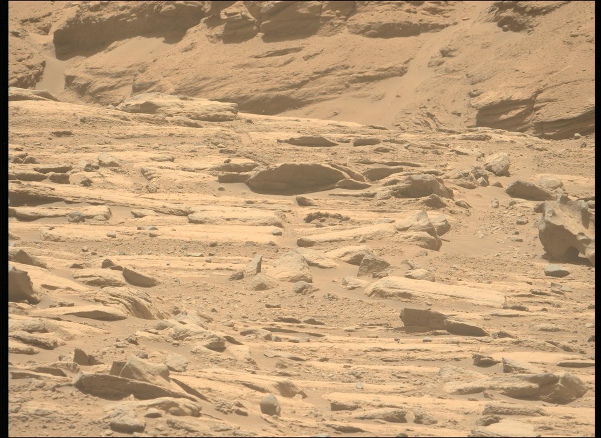This image was taken by MCZ_LEFT onboard NASA's Mars rover Perseverance on Sol 733