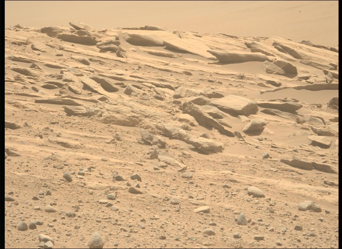 This image was taken by MCZ_LEFT onboard NASA's Mars rover Perseverance on Sol 733