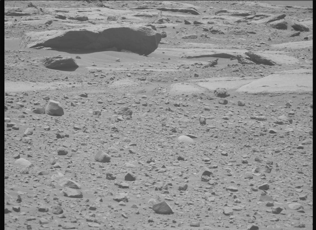 This image was taken by MCZ_LEFT onboard NASA's Mars rover Perseverance on Sol 733