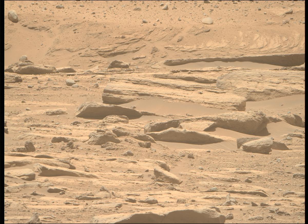 This image was taken by MCZ_RIGHT onboard NASA's Mars rover Perseverance on Sol 733