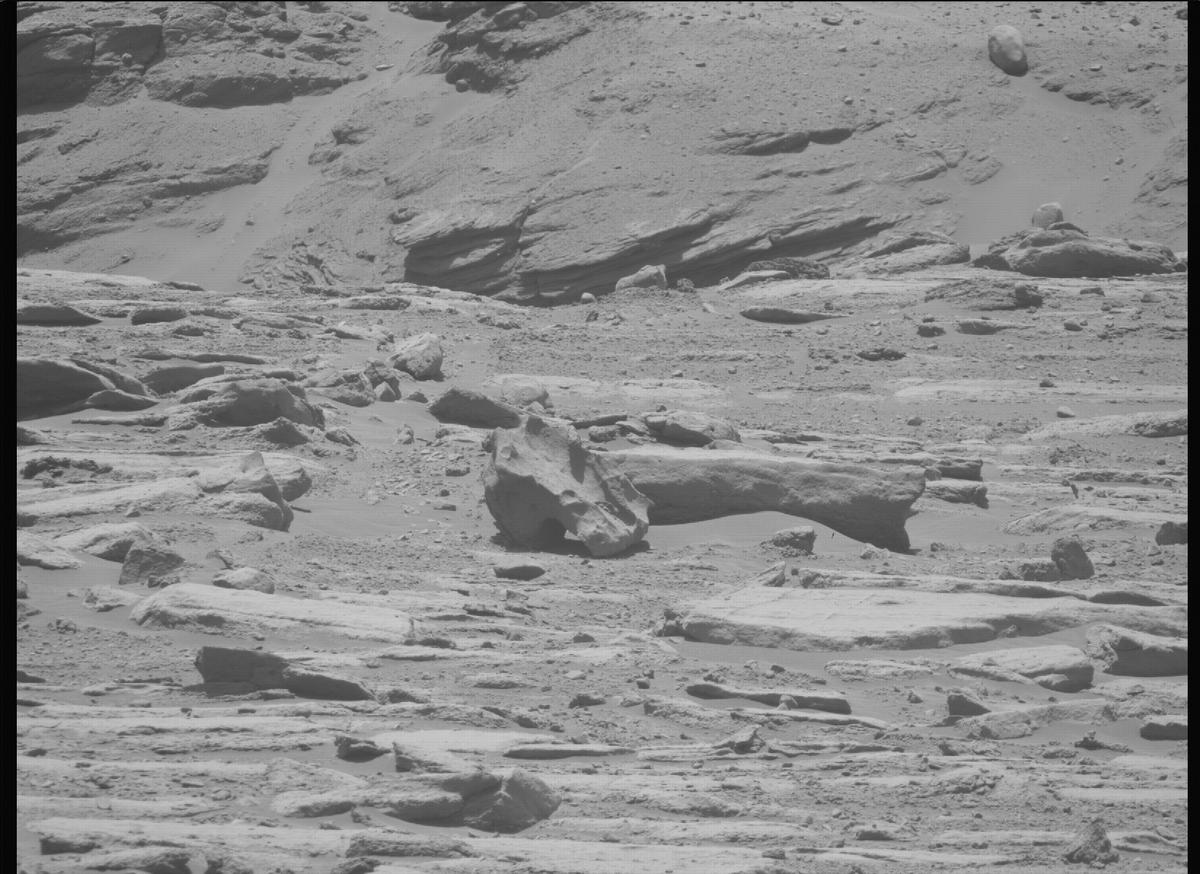This image was taken by MCZ_RIGHT onboard NASA's Mars rover Perseverance on Sol 733
