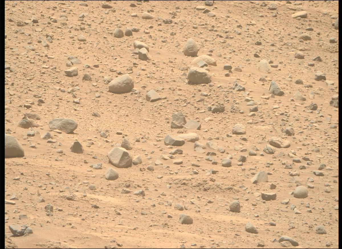 This image was taken by MCZ_RIGHT onboard NASA's Mars rover Perseverance on Sol 733