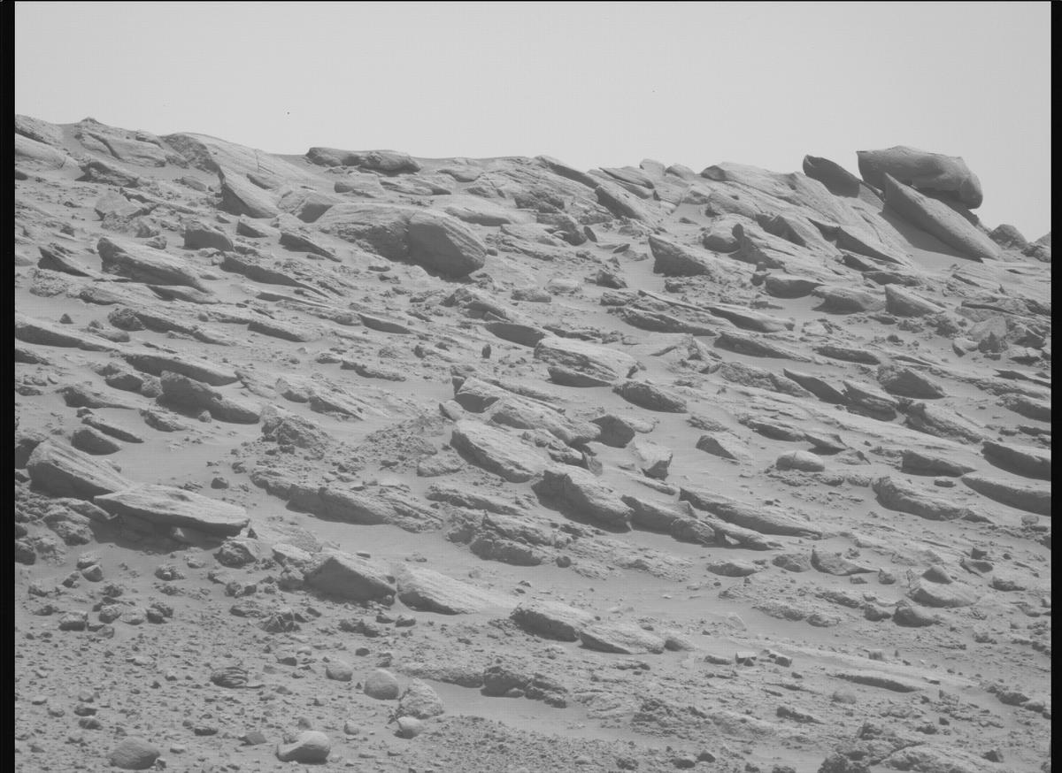 This image was taken by MCZ_LEFT onboard NASA's Mars rover Perseverance on Sol 736