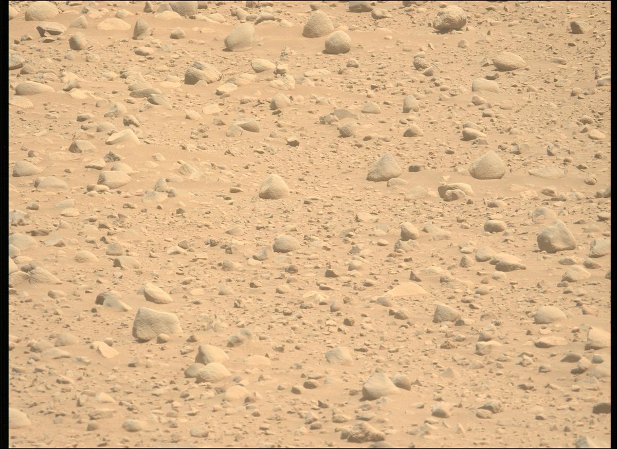 This image was taken by MCZ_LEFT onboard NASA's Mars rover Perseverance on Sol 736