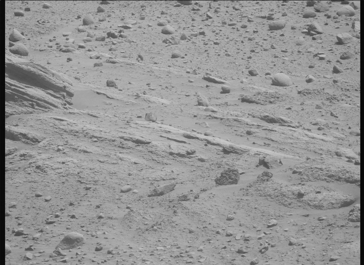 This image was taken by MCZ_LEFT onboard NASA's Mars rover Perseverance on Sol 736