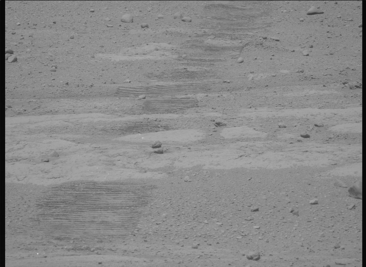 This image was taken by MCZ_LEFT onboard NASA's Mars rover Perseverance on Sol 736