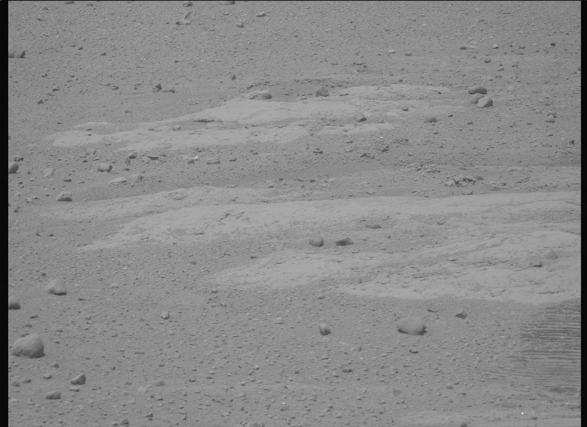 This image was taken by MCZ_LEFT onboard NASA's Mars rover Perseverance on Sol 736