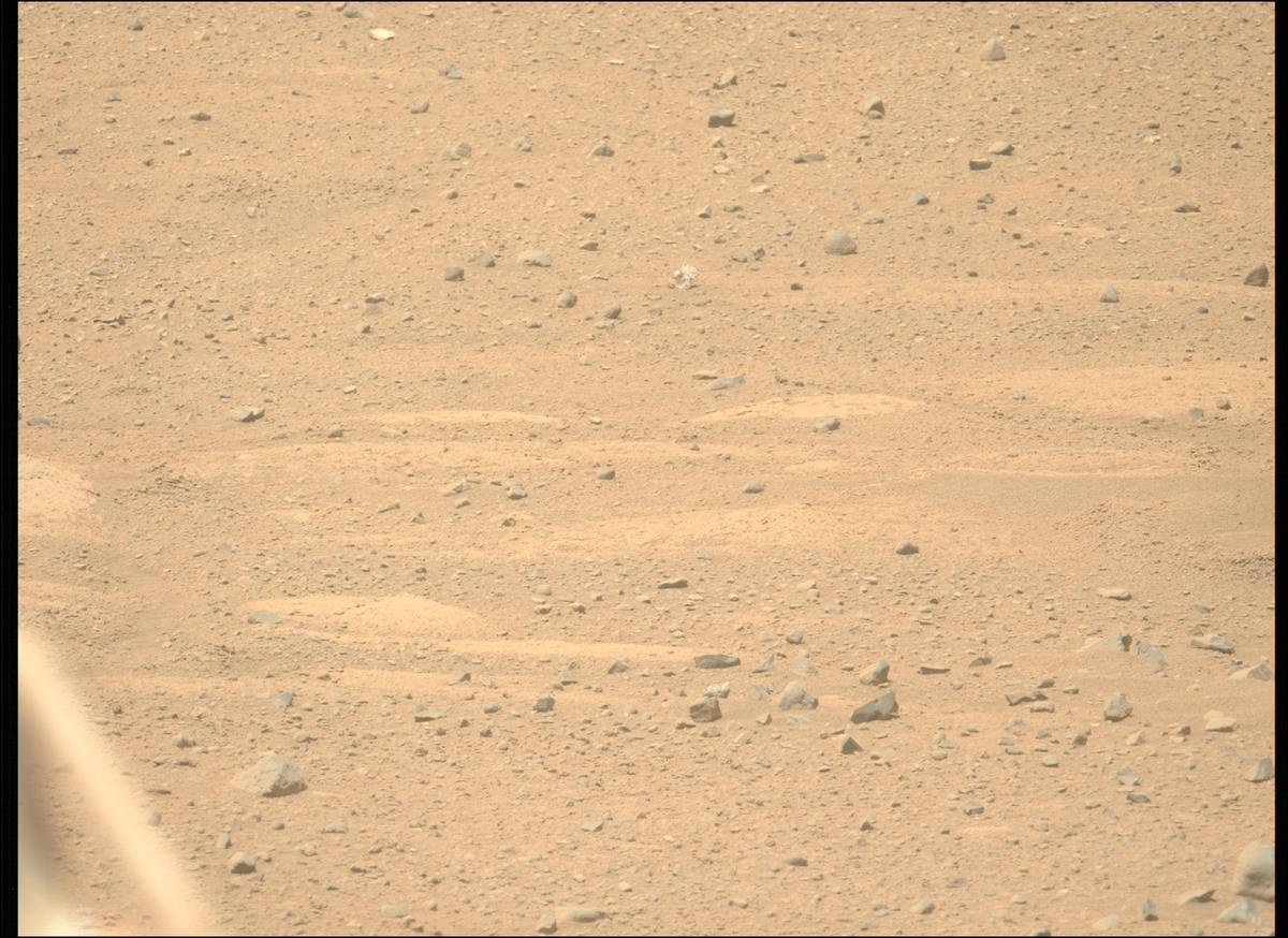 This image was taken by MCZ_LEFT onboard NASA's Mars rover Perseverance on Sol 736
