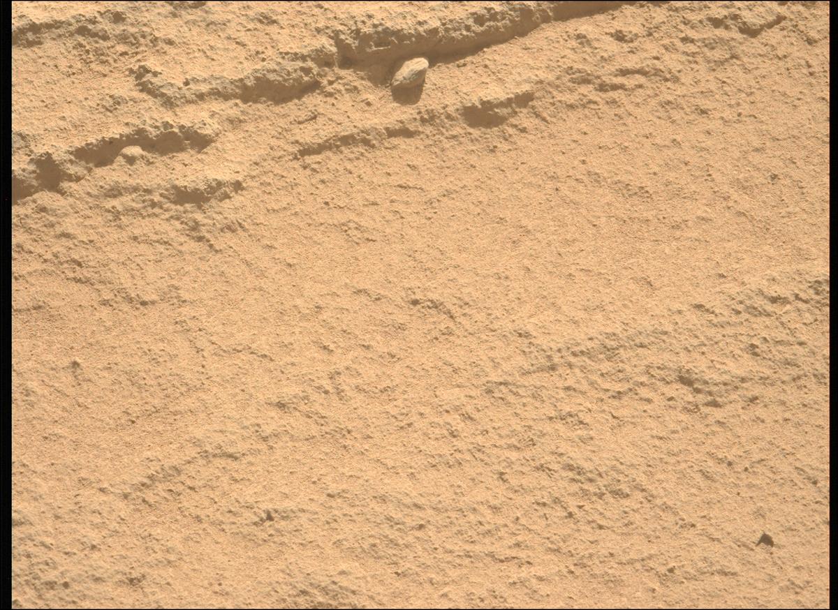 This image was taken by MCZ_LEFT onboard NASA's Mars rover Perseverance on Sol 736