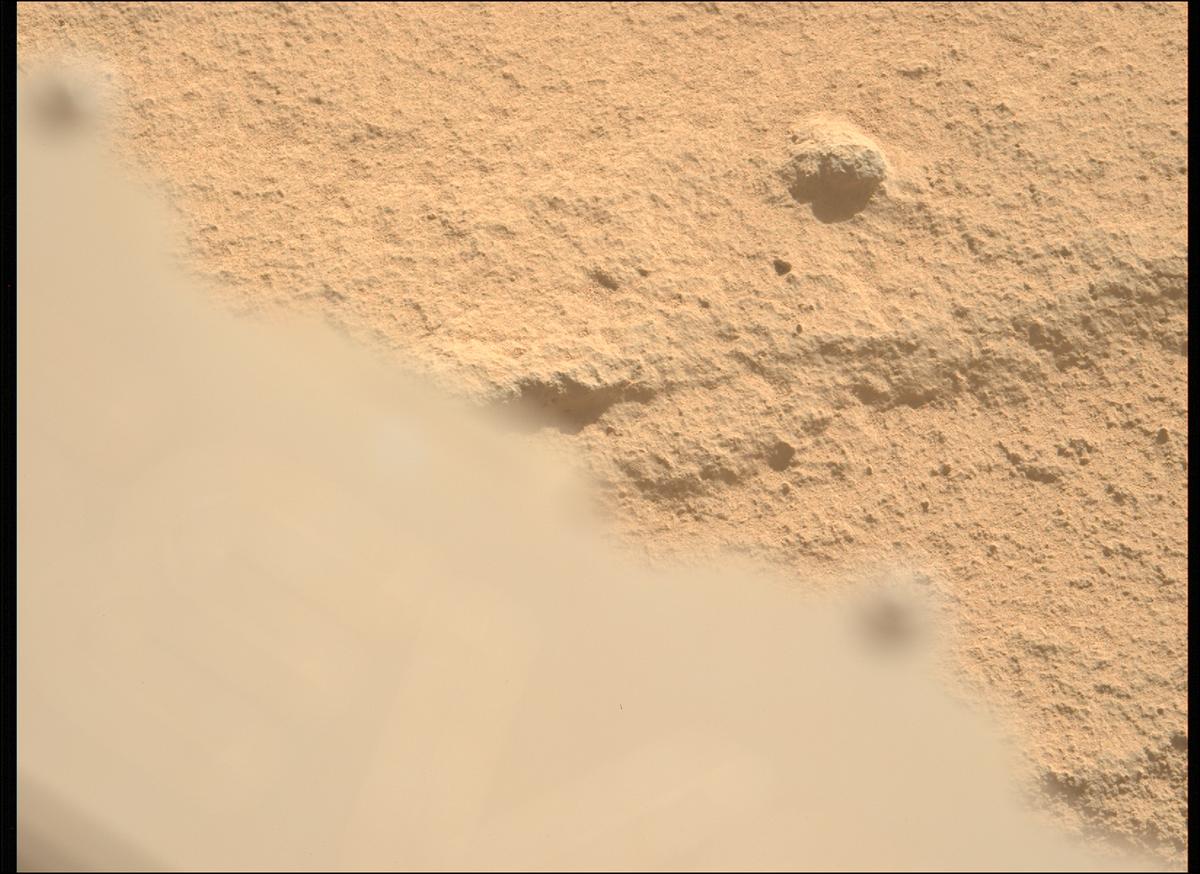 This image was taken by MCZ_LEFT onboard NASA's Mars rover Perseverance on Sol 736