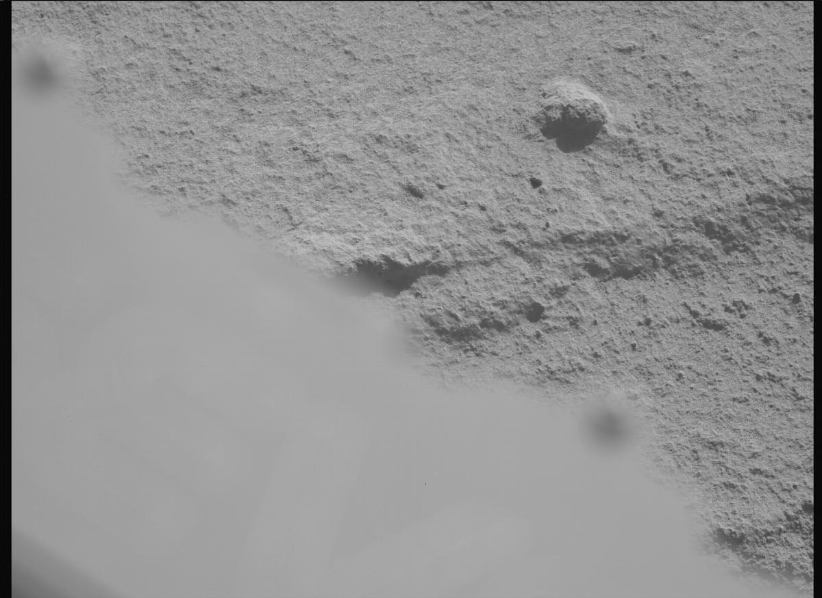 This image was taken by MCZ_LEFT onboard NASA's Mars rover Perseverance on Sol 736