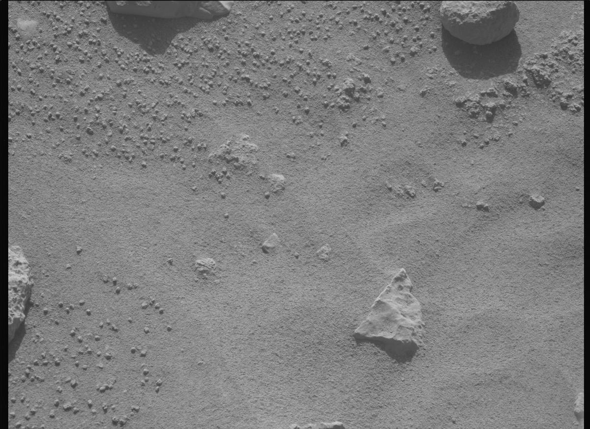 This image was taken by MCZ_LEFT onboard NASA's Mars rover Perseverance on Sol 736