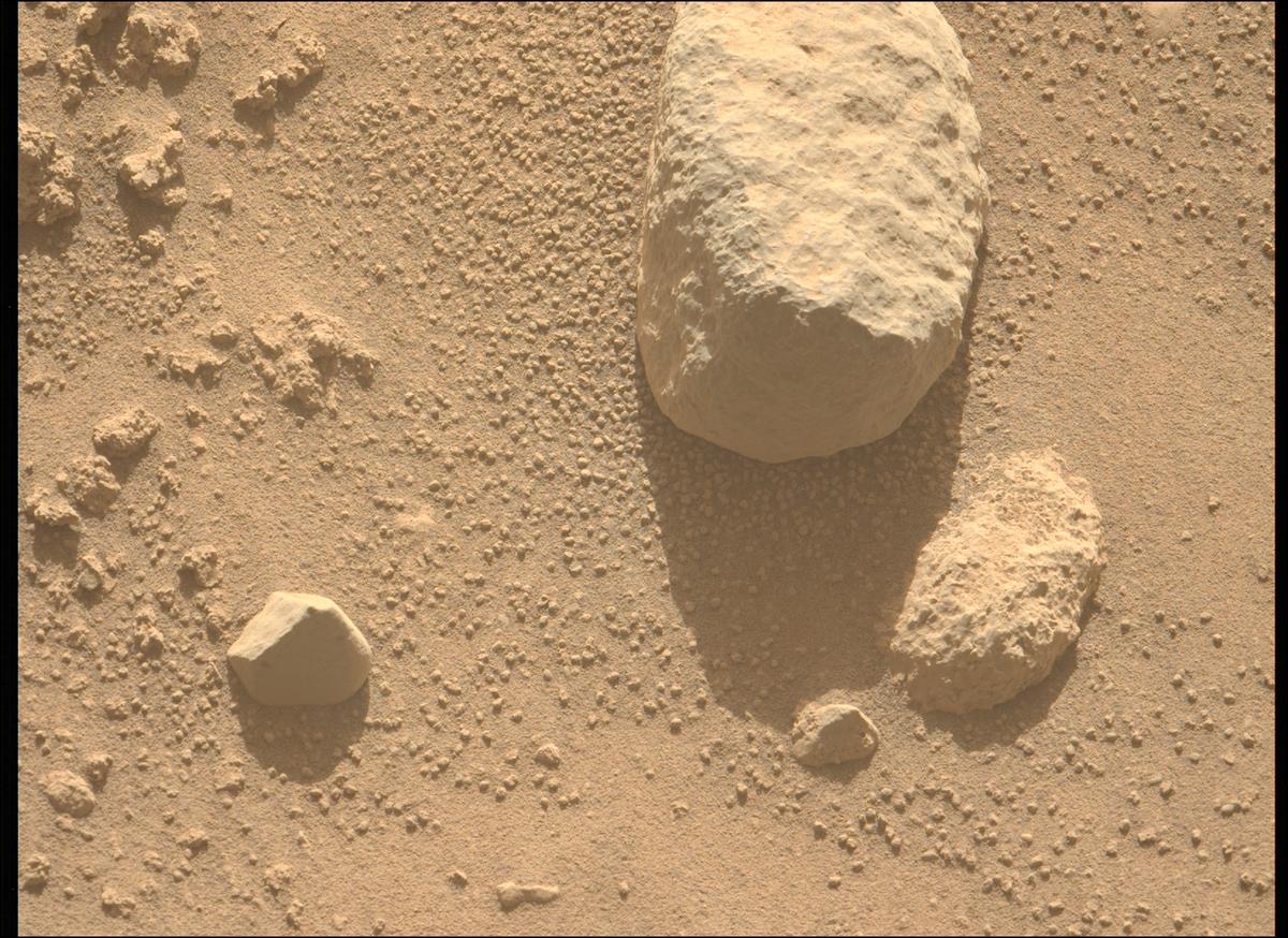 This image was taken by MCZ_LEFT onboard NASA's Mars rover Perseverance on Sol 736