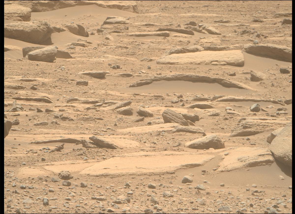 This image was taken by MCZ_RIGHT onboard NASA's Mars rover Perseverance on Sol 736