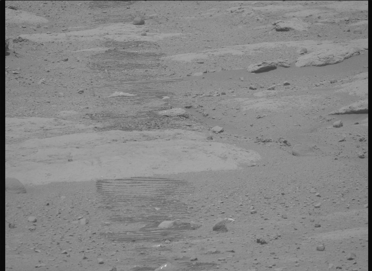 This image was taken by MCZ_RIGHT onboard NASA's Mars rover Perseverance on Sol 736