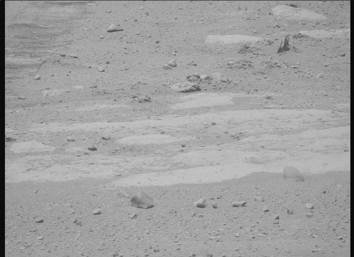 This image was taken by MCZ_RIGHT onboard NASA's Mars rover Perseverance on Sol 736