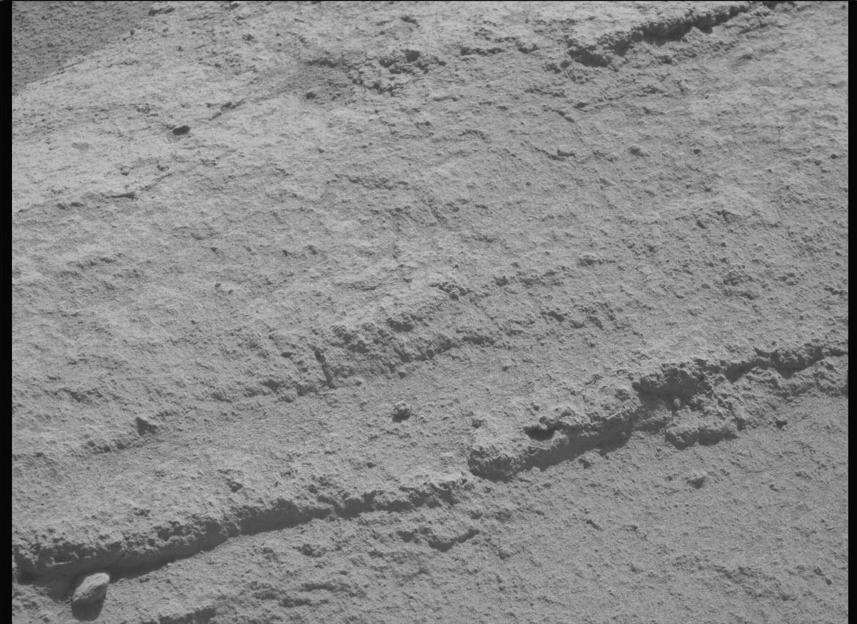 This image was taken by MCZ_RIGHT onboard NASA's Mars rover Perseverance on Sol 736