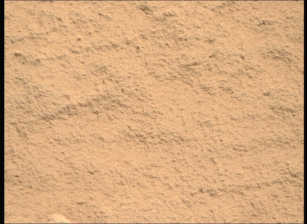This image was taken by MCZ_RIGHT onboard NASA's Mars rover Perseverance on Sol 736