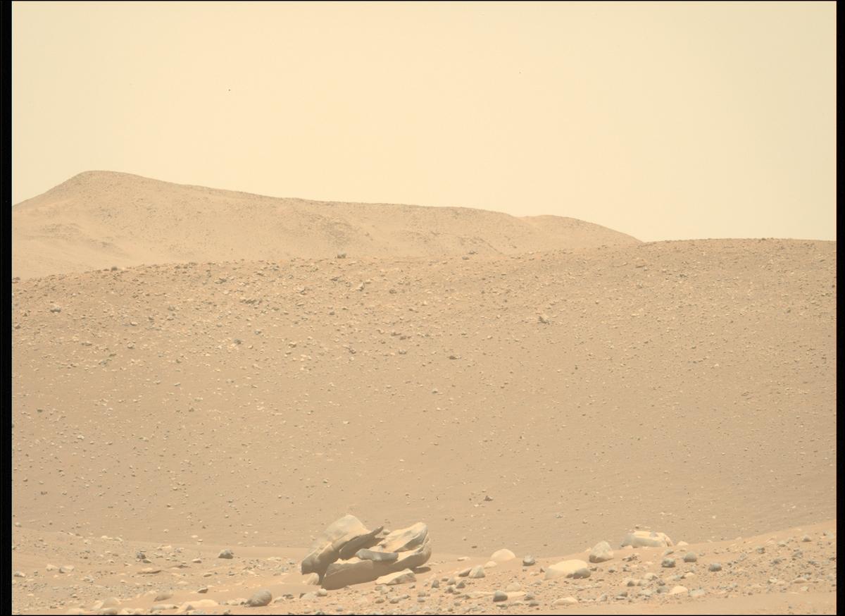 This image was taken by MCZ_LEFT onboard NASA's Mars rover Perseverance on Sol 737