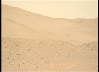 View image taken on Mars, Mars Perseverance Sol 737: Left Mastcam-Z Camera