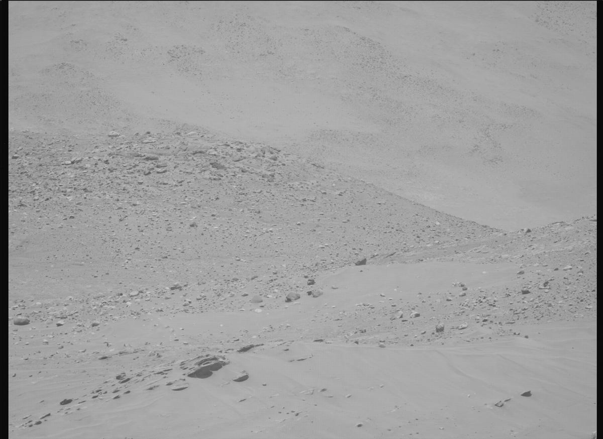 This image was taken by MCZ_LEFT onboard NASA's Mars rover Perseverance on Sol 737