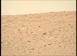 View image taken on Mars, Mars Perseverance Sol 737: Left Mastcam-Z Camera