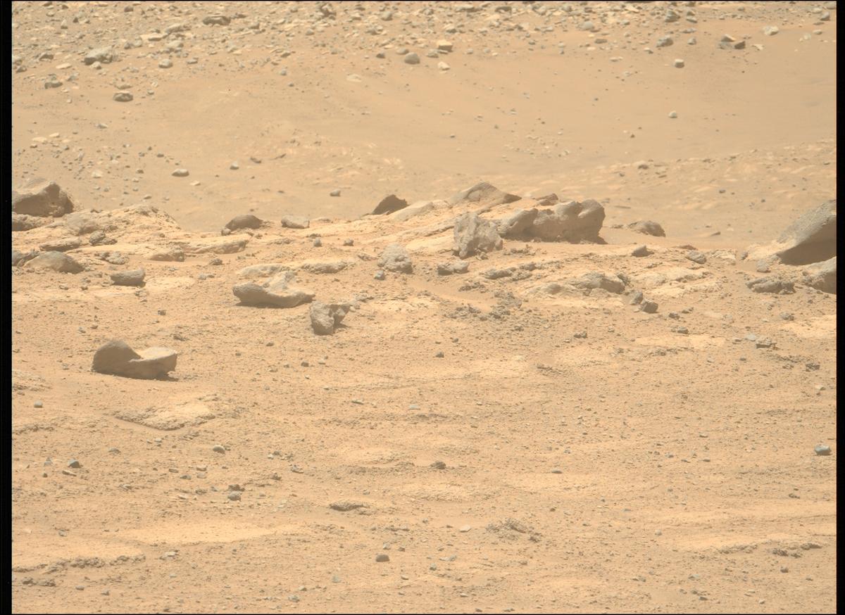 This image was taken by MCZ_LEFT onboard NASA's Mars rover Perseverance on Sol 737