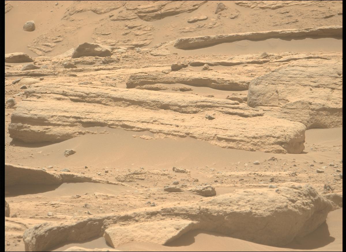 This image was taken by MCZ_LEFT onboard NASA's Mars rover Perseverance on Sol 737